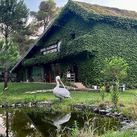 H&A Guest House Divjake Dış mekan fotoğraf
