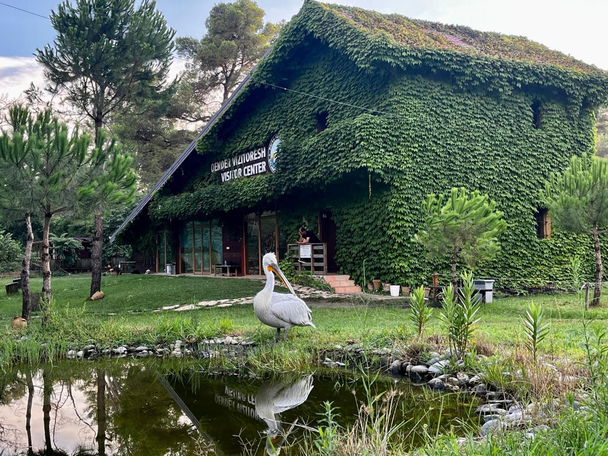 H&A Guest House Divjake Dış mekan fotoğraf